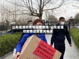 山东省潍坊疫情进度查询/山东省潍坊疫情进度查询电话