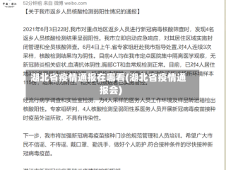 湖北省疫情通报在哪看(湖北省疫情通报会)