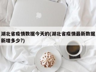 湖北省疫情数据今天的(湖北省疫情最新数据新增多少?)