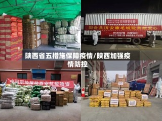 陕西省五措施保障疫情/陕西加强疫情防控