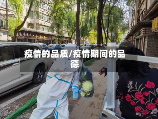 疫情的品质/疫情期间的品德