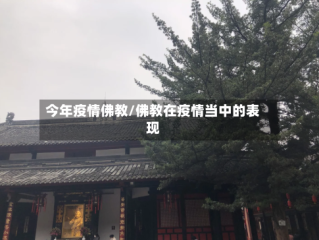 今年疫情佛教/佛教在疫情当中的表现