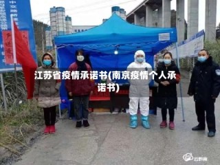 江苏省疫情承诺书(南京疫情个人承诺书)