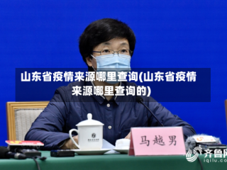 山东省疫情来源哪里查询(山东省疫情来源哪里查询的)