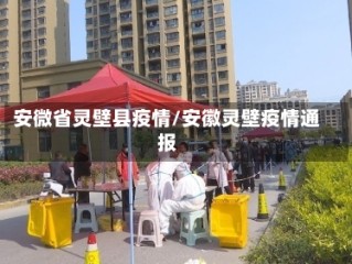 安微省灵壁县疫情/安徽灵壁疫情通报