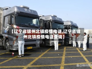 【辽宁省锦州北镇疫情电话,辽宁省锦州北镇疫情电话查询】