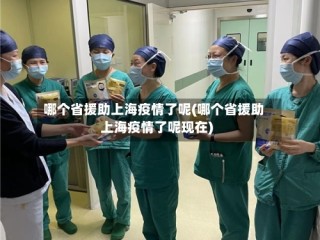 哪个省援助上海疫情了呢(哪个省援助上海疫情了呢现在)