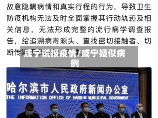 咸宁谎报疫情/咸宁疑似病例