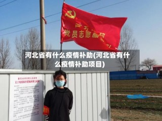 河北省有什么疫情补助(河北省有什么疫情补助项目)