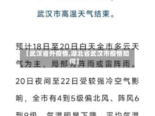 【武汉省外疫情,湖北省武汉市疫情如何】