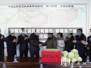 疫情东三省贡献有哪些/疫情东三省沦陷