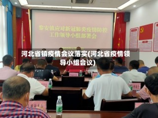 河北省镇疫情会议落实(河北省疫情领导小组会议)