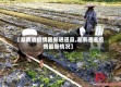 【湖南省疫情最新通道县,湖南通道疫情最新情况】