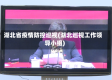 湖北省疫情防控巡视(湖北巡视工作领导小组)