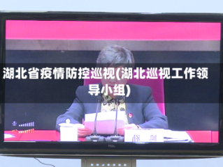 湖北省疫情防控巡视(湖北巡视工作领导小组)