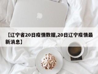 【辽宁省20日疫情数据,20日辽宁疫情最新消息】