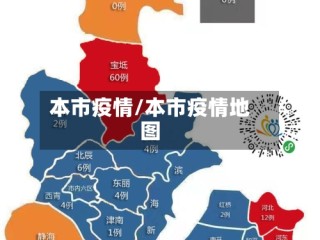 本市疫情/本市疫情地图