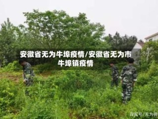 安徽省无为牛埠疫情/安徽省无为市牛埠镇疫情