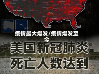 疫情最大爆发/疫情爆发至今