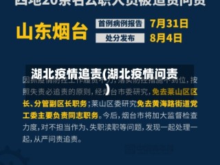 湖北疫情追责(湖北疫情问责)