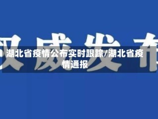 湖北省疫情公布实时跟踪/湖北省疫情通报