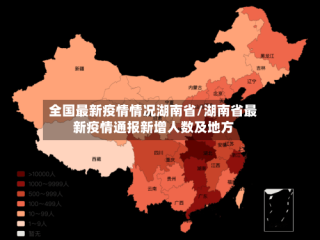 全国最新疫情情况湖南省/湖南省最新疫情通报新增人数及地方