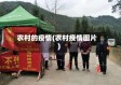 农村的疫情(农村疫情图片)