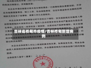 吉林省桦甸市疫情/吉林桦甸新增病例