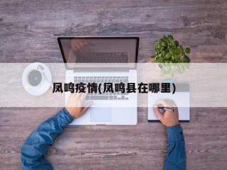 凤鸣疫情(凤鸣县在哪里)