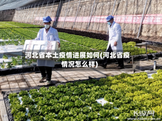 河北省本土疫情进展如何(河北省疫情况怎么样)