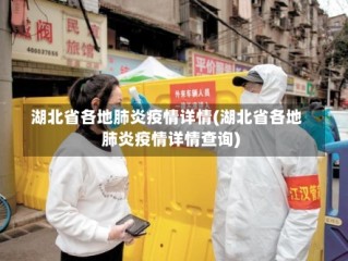 湖北省各地肺炎疫情详情(湖北省各地肺炎疫情详情查询)