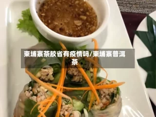 柬埔寨茶胶省有疫情吗/柬埔寨普洱茶