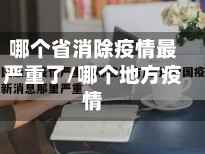 哪个省消除疫情最严重了/哪个地方疫情