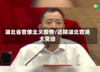 湖北省官僚主义疫情/近期湖北官场大变动
