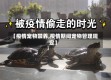 【疫情宠物禁养,疫情期间宠物管理规定】