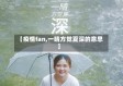 【疫情fan,一晴方觉夏深的意思】