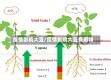 疫情影响大豆/疫情影响大豆费用吗