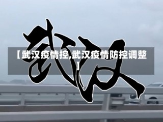 【武汉疫情控,武汉疫情防控调整】