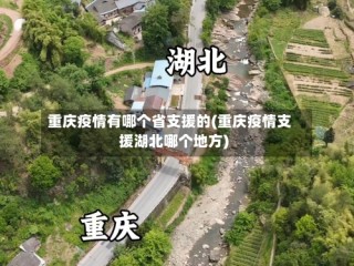 重庆疫情有哪个省支援的(重庆疫情支援湖北哪个地方)