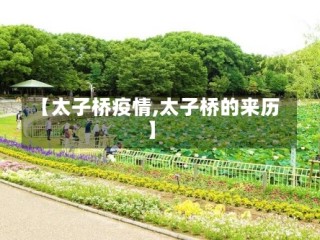 【太子桥疫情,太子桥的来历】