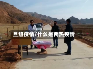 旦热疫情/什么是两热疫情