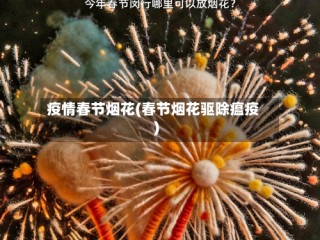 疫情春节烟花(春节烟花驱除瘟疫)