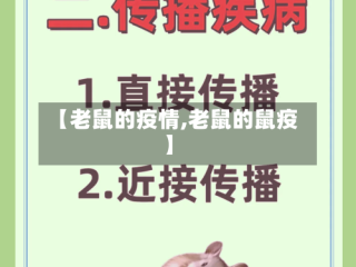 【老鼠的疫情,老鼠的鼠疫】