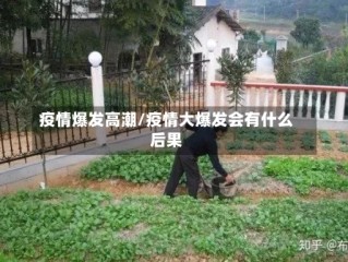 疫情爆发高潮/疫情大爆发会有什么后果
