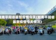 越南平阳省最新疫情今天(越南平阳省最新疫情今天情况)
