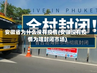 安徽省为什么没有疫情(安徽没有疫情为啥封闭市场)