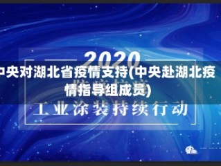 中央对湖北省疫情支持(中央赴湖北疫情指导组成员)