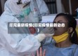 印尼最新疫情(印尼疫情最新动态)