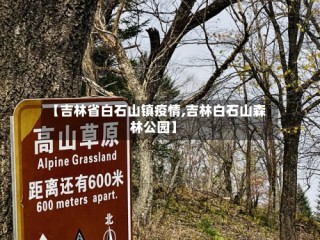 【吉林省白石山镇疫情,吉林白石山森林公园】