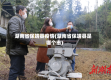 湖南省保靖县疫情(湖南省保靖县是哪个市)